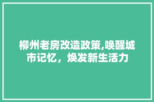柳州老房改造政策,唤醒城市记忆，焕发新生活力