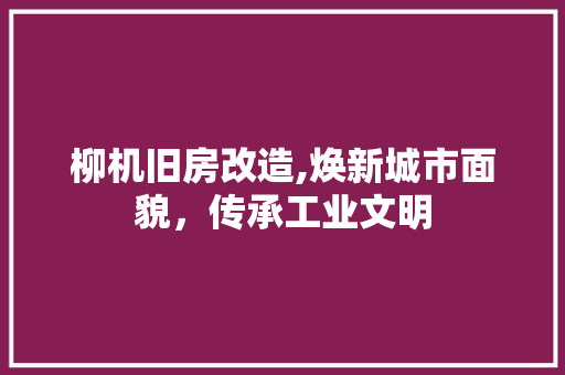柳机旧房改造,焕新城市面貌，传承工业文明