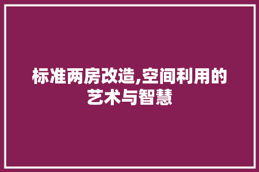 标准两房改造,空间利用的艺术与智慧