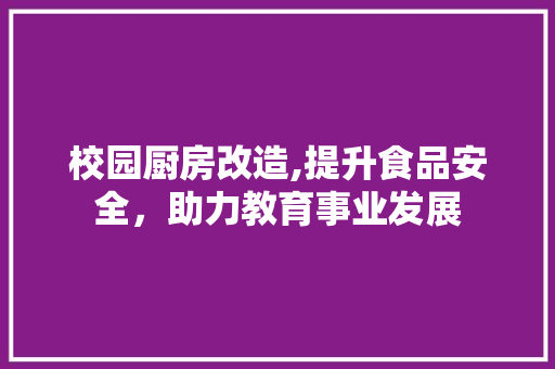 校园厨房改造,提升食品安全，助力教育事业发展