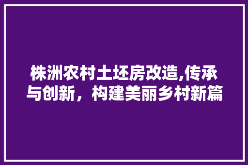 株洲农村土坯房改造,传承与创新，构建美丽乡村新篇章
