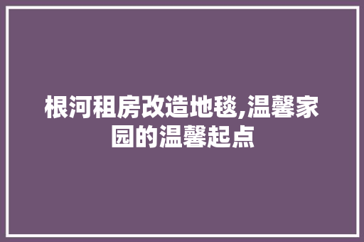 根河租房改造地毯,温馨家园的温馨起点