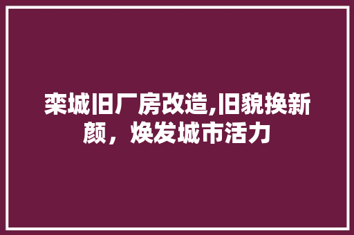 栾城旧厂房改造,旧貌换新颜，焕发城市活力