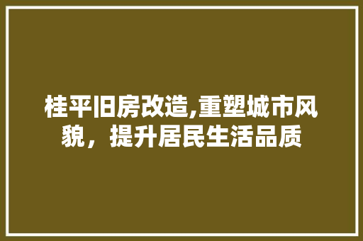 桂平旧房改造,重塑城市风貌，提升居民生活品质