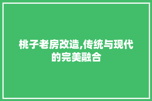 桃子老房改造,传统与现代的完美融合