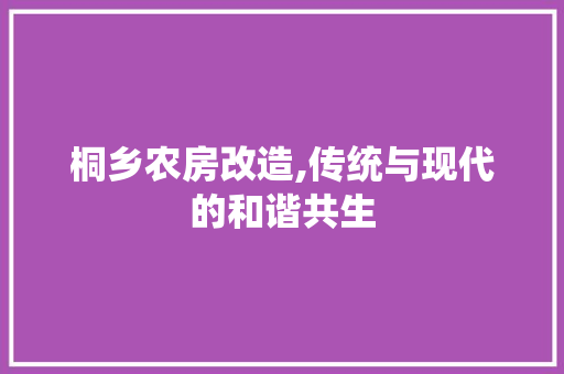 桐乡农房改造,传统与现代的和谐共生