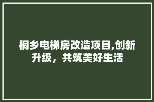 桐乡电梯房改造项目,创新升级，共筑美好生活