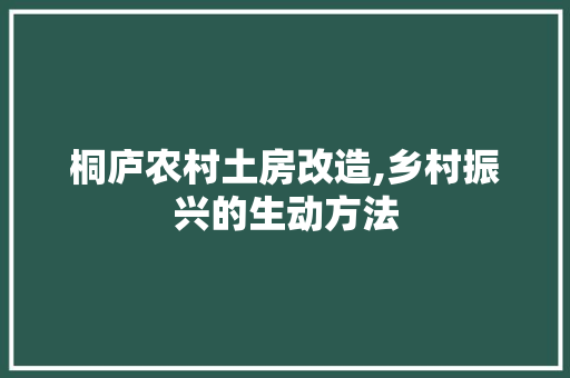桐庐农村土房改造,乡村振兴的生动方法