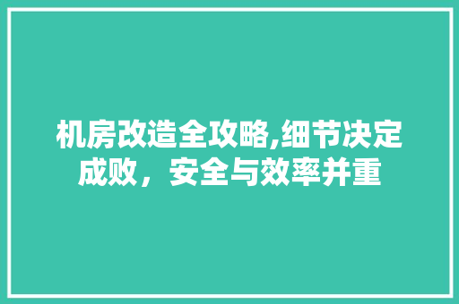 机房改造全攻略,细节决定成败，安全与效率并重