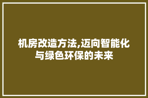 机房改造方法,迈向智能化与绿色环保的未来
