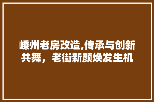嵊州老房改造,传承与创新共舞，老街新颜焕发生机