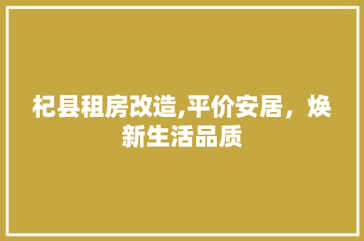 杞县租房改造,平价安居，焕新生活品质