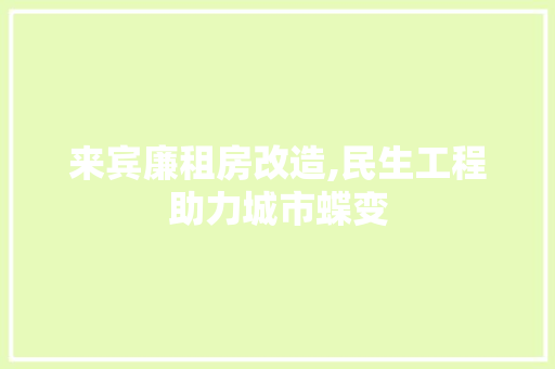 来宾廉租房改造,民生工程助力城市蝶变