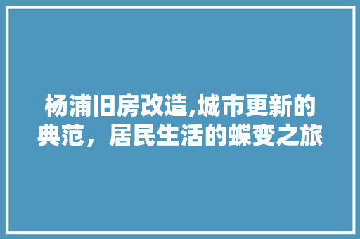 杨浦旧房改造,城市更新的典范，居民生活的蝶变之旅