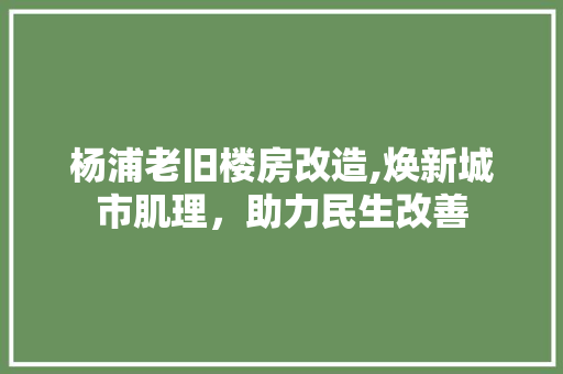 杨浦老旧楼房改造,焕新城市肌理，助力民生改善