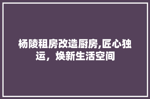 杨陵租房改造厨房,匠心独运，焕新生活空间