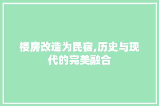 楼房改造为民宿,历史与现代的完美融合