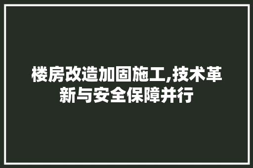 楼房改造加固施工,技术革新与安全保障并行