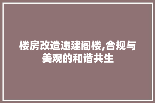 楼房改造违建阁楼,合规与美观的和谐共生