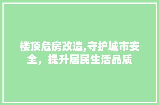 楼顶危房改造,守护城市安全，提升居民生活品质