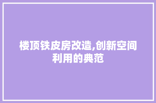 楼顶铁皮房改造,创新空间利用的典范