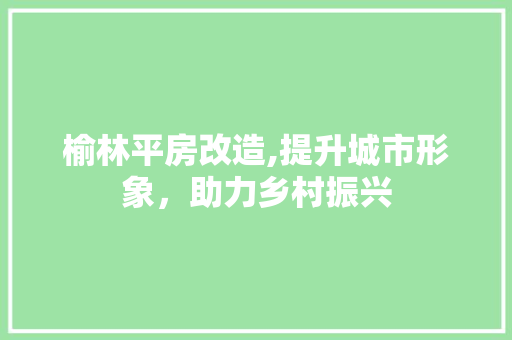 榆林平房改造,提升城市形象，助力乡村振兴