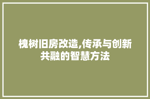 槐树旧房改造,传承与创新共融的智慧方法