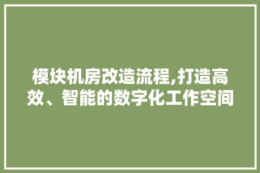 模块机房改造流程,打造高效、智能的数字化工作空间
