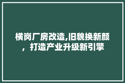 横岗厂房改造,旧貌换新颜，打造产业升级新引擎