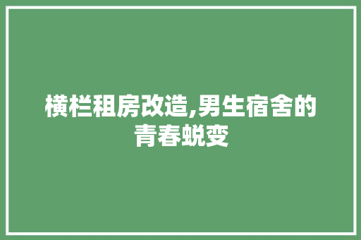 横栏租房改造,男生宿舍的青春蜕变