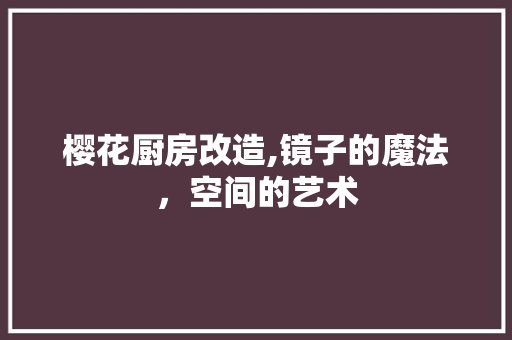 樱花厨房改造,镜子的魔法，空间的艺术