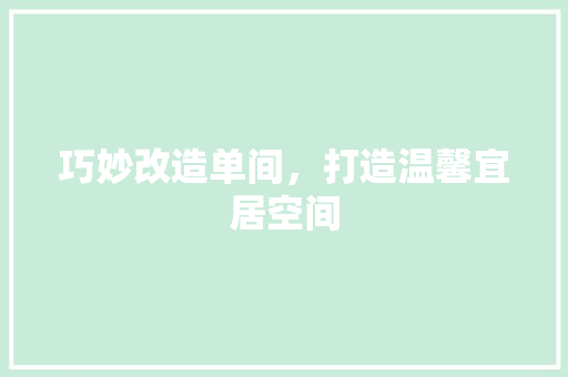 巧妙改造单间，打造温馨宜居空间