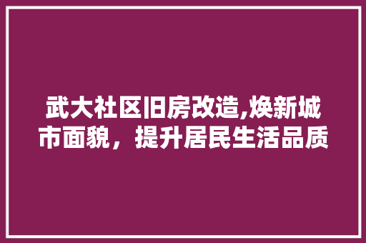 武大社区旧房改造,焕新城市面貌，提升居民生活品质