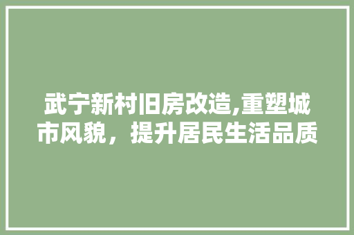 武宁新村旧房改造,重塑城市风貌，提升居民生活品质