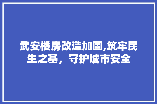 武安楼房改造加固,筑牢民生之基，守护城市安全