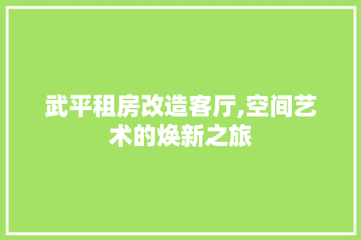 武平租房改造客厅,空间艺术的焕新之旅