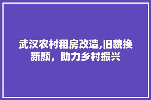 武汉农村租房改造,旧貌换新颜，助力乡村振兴