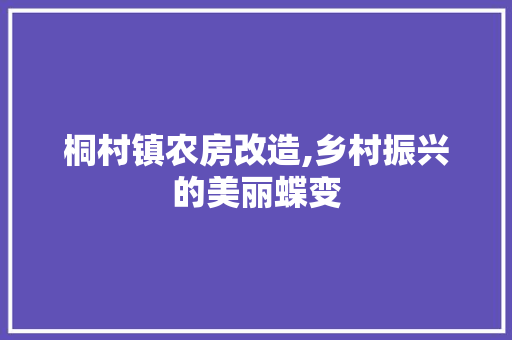 桐村镇农房改造,乡村振兴的美丽蝶变