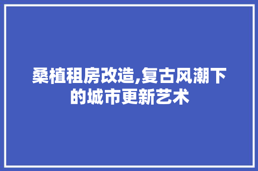 桑植租房改造,复古风潮下的城市更新艺术