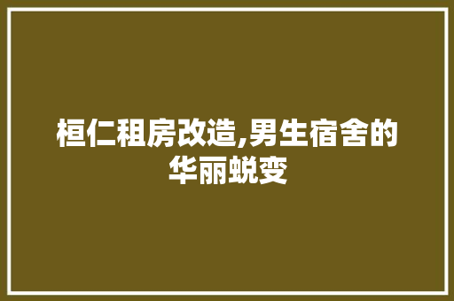 桓仁租房改造,男生宿舍的华丽蜕变