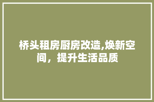 桥头租房厨房改造,焕新空间，提升生活品质