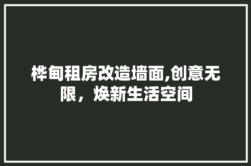 桦甸租房改造墙面,创意无限，焕新生活空间