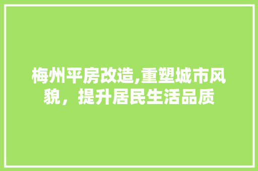 梅州平房改造,重塑城市风貌，提升居民生活品质