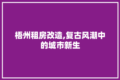 梧州租房改造,复古风潮中的城市新生