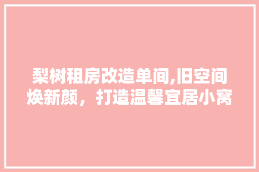 梨树租房改造单间,旧空间焕新颜，打造温馨宜居小窝