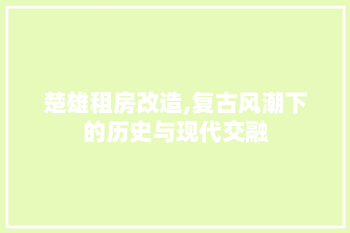 楚雄租房改造,复古风潮下的历史与现代交融