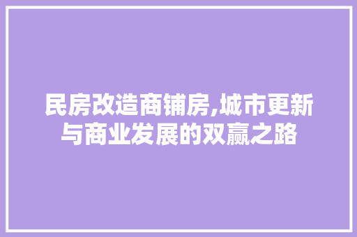 民房改造商铺房,城市更新与商业发展的双赢之路
