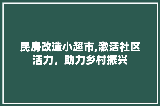 民房改造小超市,激活社区活力，助力乡村振兴