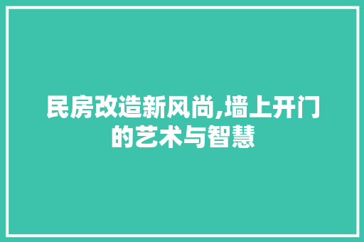 民房改造新风尚,墙上开门的艺术与智慧