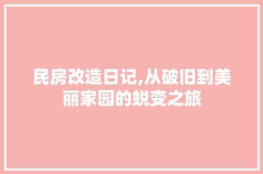 民房改造日记,从破旧到美丽家园的蜕变之旅